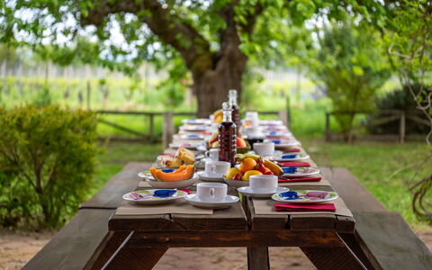Sangiovese 14: Tableware, Tafel, Meubilair, Voedsel, Buitenmeubels, Tuin, Buitentafel, Serveware, Ontbijt, Picknick