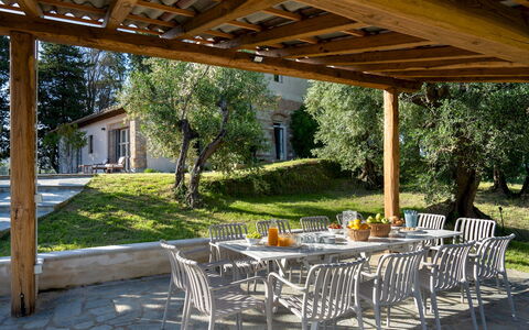 Il Poggione 10: Meubilair, Hout, Tafel, Buitenmeubels, Stoel, Buitentafel, Schaduw, Keuken En Eettafel, Outdoor Structuur, Tuin
