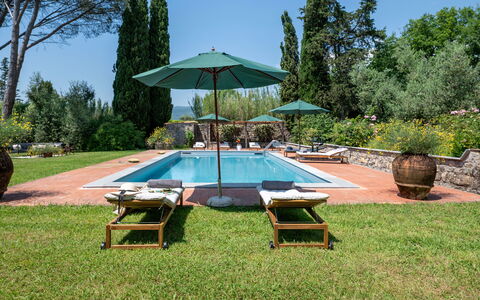 Villa Collegigliato 8: Zwembad, Toevlucht, Tuin, Struik, Buitenmeubels, Ligstoel, Landscaping, Eco Hotel, Schaduw, Hacienda