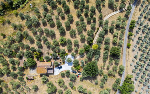 Casale le Lupe Apartments: Boom, Landschap, Landelijk Gebied, Land Lot, Vogelperspectief, Plantage, Luchtfotografie, Dorp, Landscaping, Boerderij