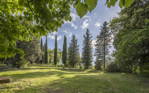 Casa Clara Pool, Casole Elsa, Monti: Blad, Boom, Natuur, Groen, Natuurlijke Omgeving, Afdeling, Vegetation, Natuurlijk Landschap, Struik, Plantengemeenschap