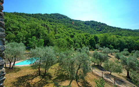 Poggio Conca: Vegetation, Natuur, Wildernis, Natuurgebied, Natuurlijke Omgeving, Bergachtig Landvormen, Boom, Berg, Biome, Heuvel Station