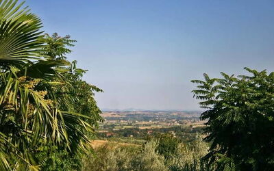 Villetta Tre Palme