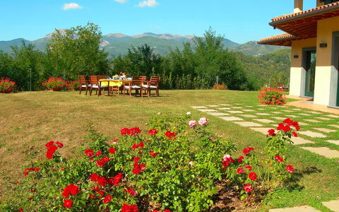 Villa Saida: Natuurlijk Landschap, Tuin, Bloem, Eigendom, Botanische Tuin, Werf, Fabriek, Plantkunde, De Lente, Wildernis