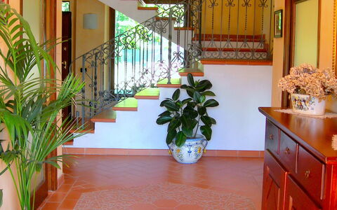 Villa Saida: Eigendom, Verdieping, Kamer, Gebouw, Kamerplant, Lobby, Interieur Ontwerp, Tegel, Onroerend Goed, Flooring