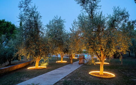 Montelopio: Lucht, Fabriek, Weg Oppervlak, Natuurlijk Landschap, Afdeling, Lariks, Gras, Boom, Asfalt, Openbare Ruimte