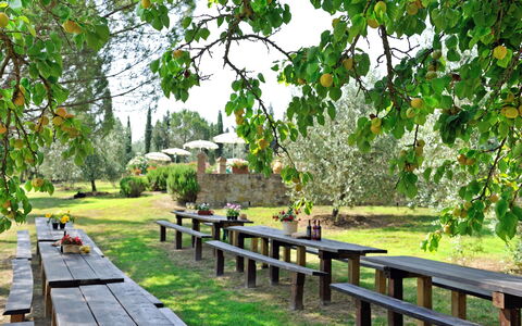 Montelopio: Natuur, Natuurgebied, Boom, Natuurlijk Landschap, Plantkunde, Gang, Gras, Tuin, Fabriek, De Lente