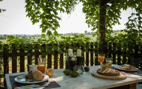 Montelopio: Tafel, Boom, Fabriek, Brunch, Interieur Ontwerp, Kamerplant, Ontbijt, Meubilair, Linens, Finger Food