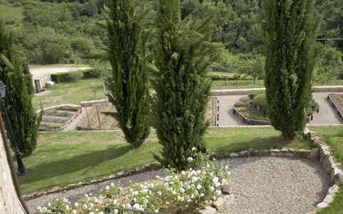 La Maccinaia 14: Boom, Gras, Plantkunde, Tuin, Huis, Architectuur, Landschap, Landscaping, Fabriek, Gebouw