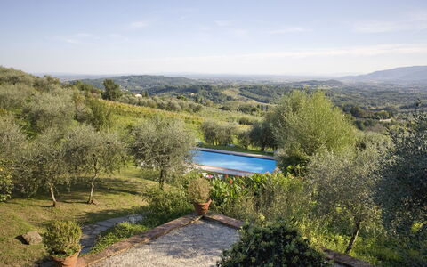 La Loggia 13: Eigendom, Vegetation, Natuurgebied, Wildernis, Lucht, Plantengemeenschap, Boom, Huis, Onroerend Goed, Plantkunde