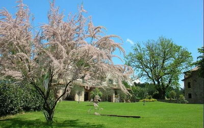 Villa Lido