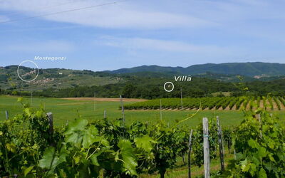 Giardino Del Belvedere