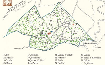 Giardino Del Belvedere