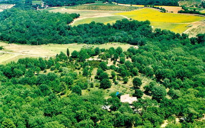 Giardino Del Belvedere