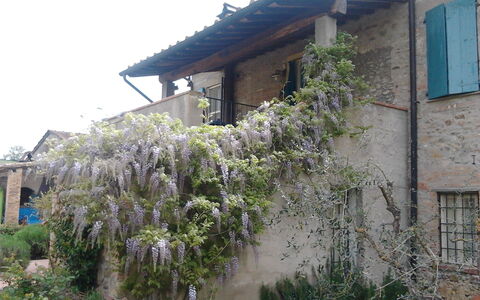 Accommodatie:&nbsp;Appartamento Piscina