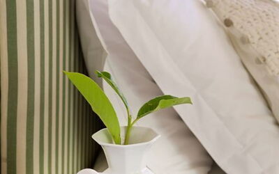 Accommodatie:&nbsp;Piccolo