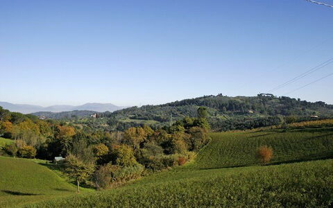 La Selva: Natuurlijk Landschap, Heuvel, Natuur, Bergachtig Landvormen, Lucht, Grasland, Vegetation, Veld, Hoogland, Natuurlijke Omgeving