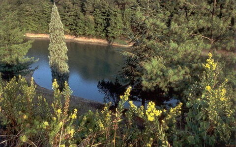 La Selva: Vegetation, Natuur, Natuurgebied, Biome, Natuurlijk Landschap, Wildernis, Boom, Plantengemeenschap, Water, Fabriek