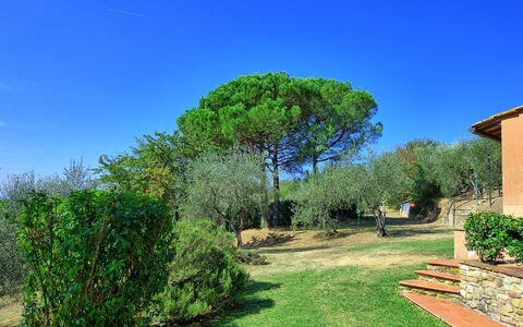 La Selva: Natuur, Groen, Natuurlijk Landschap, Boom, Eigendom, Vegetation, Lucht, Gras, Tuin, Onroerend Goed