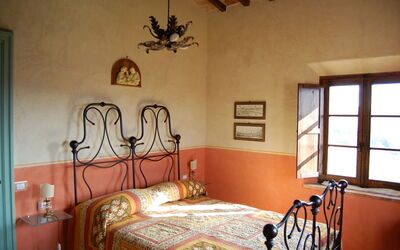 Accommodatie:&nbsp;Ficus