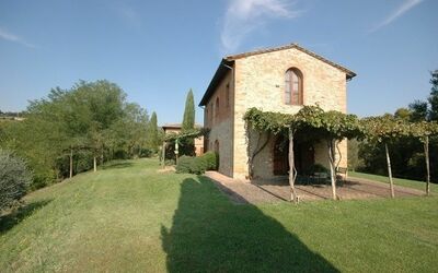 Lavanda - Montefoscoli, Toscane, Italië - Lavanda 1