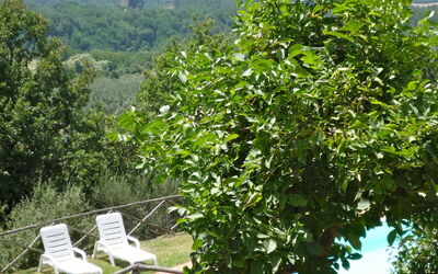 Pool and view of the Reggello Valley