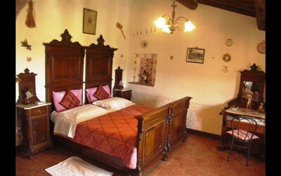 Accommodatie:&nbsp;Costanza