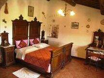 Accommodatie:&nbsp;Costanza