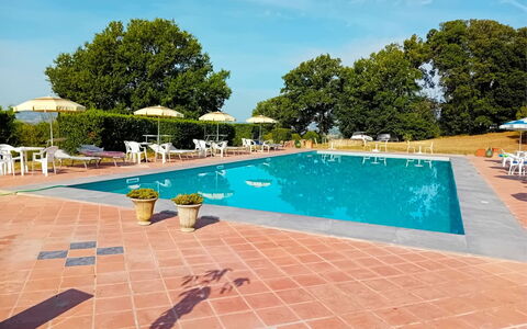 Fattoria le Chianacce: Water, Lucht, Fabriek, Gebouw, Zwembad, Azure, Boom, Buitenmeubels, Wolk, Stoel