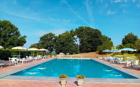 Fattoria le Chianacce: Water, Lucht, Fabriek, Wolk, Zwembad, Gebouw, Azure, Boom, Buitenmeubels, Schaduw