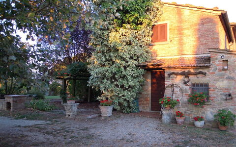 Fattoria la Gabola: Fabriek, Gebouw, Venster, Bloempot, Blad, Vegetation, Weg Oppervlak, Huis, Biome, Boom
