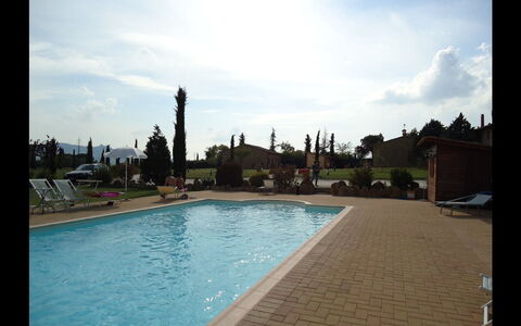 Accommodatie:&nbsp;Cinghialino