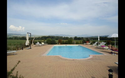 Accommodatie:&nbsp;Cinghialino