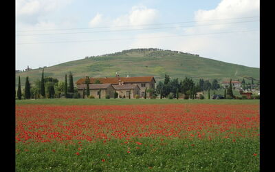 Accommodatie:&nbsp;Cinghialino