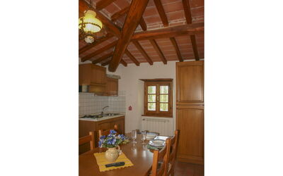 Accommodatie:&nbsp;Il Susino