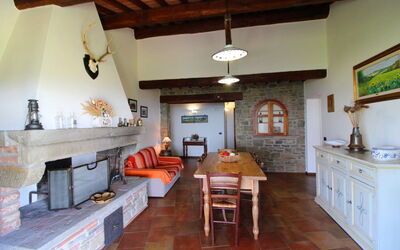Accommodatie:&nbsp;Poiana