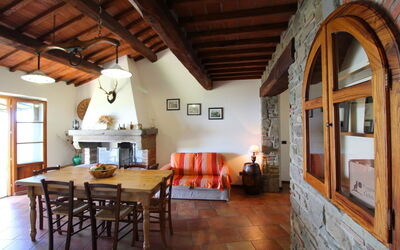 Accommodatie:&nbsp;Poiana
