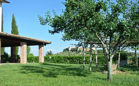 Nonno Tobia: Lucht, Fabriek, Groen, Natuurlijk Landschap, Boom, Land Lot, Gras, Vegetation, Schaduw, Grasland