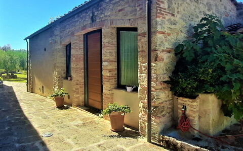 Pieve di Sant Ippolito: Fabriek, Gebouw, Groen, Lucht, Bloempot, Deur, Venster, Land Lot, Kamerplant, Muur