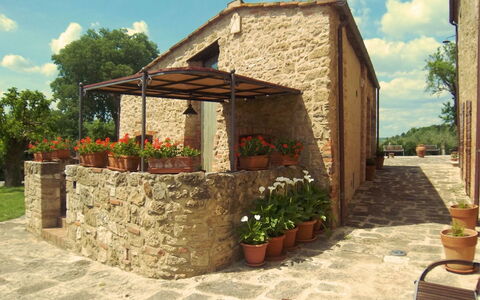 Pieve di Sant Ippolito: Fabriek, Bloem, Lucht, Wolk, Eigendom, Gebouw, Bloempot, Boom, Schaduw, Hout