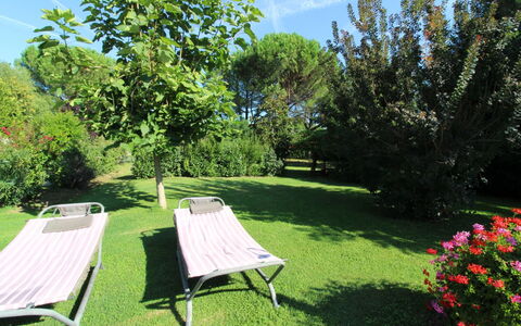 Pagliazzone: Fabriek, Lucht, Plantengemeenschap, Bloem, Wolk, Natuurlijk Landschap, Plantkunde, Boom, Schaduw, Buitenmeubels