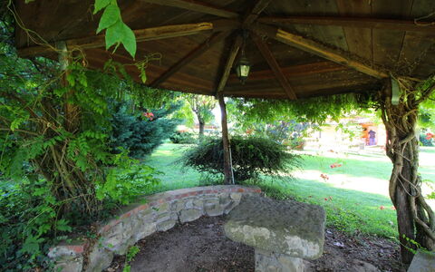 Pagliazzone: Fabriek, Plantkunde, Schaduw, Water, Vegetation, Plantendiversiteit, Arecales, Woody Plant, Natuurlijk Landschap, Gras