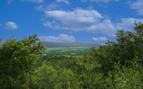 La Rogaia: Paraplu, Meubilair, Buitenmeubels, Schaduw, Stoel, Buitentafel, Bloempot, Zwembad, Ontwerp, Kamerplant