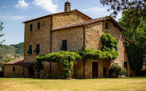 Olivo: Fabriek, Gebouw, Lucht, Wolk, Venster, Boom, Huis, Land Lot, Deur, Verblijf