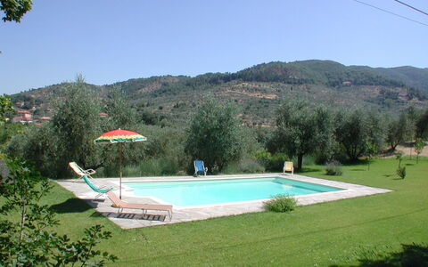 Olivo: Lucht, Water, Eigendom, Fabriek, Zwembad, Plantkunde, Boom, Gebouw, Land Lot, Rechthoek