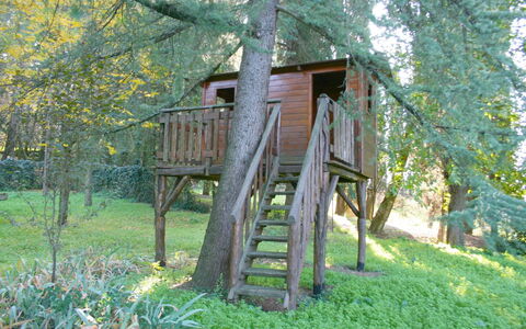Olivo: Fabriek, Boom, Hout, Natuurlijk Landschap, Trunk, Biome, Gras, Gebouw, Ladder, Landelijk Gebied