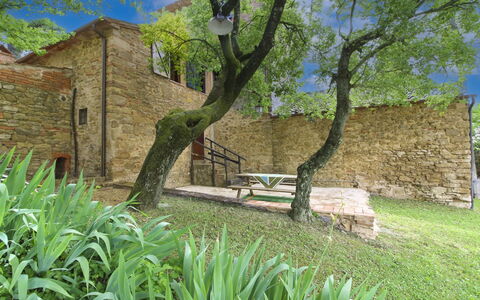 Olivo: Gras, Huis, Huis, Landelijk Gebied, Verblijf, Boerderij, Landgoed, Weide, Gazon, Landscaping