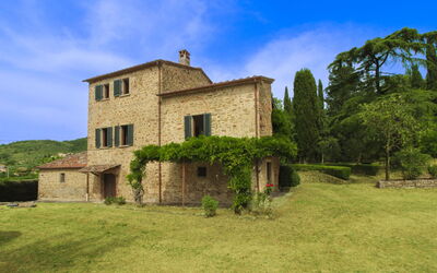 Olivo - Arezzo, Toscane, Italië