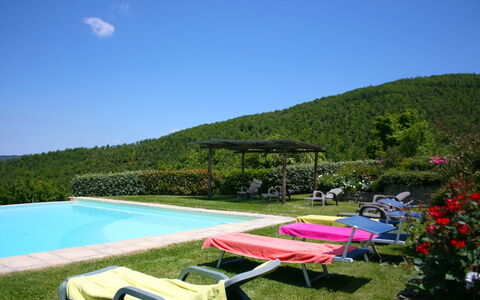 Torre di Vignale: Lucht, Water, Fabriek, Natuurlijk Landschap, Zwembad, Buitenmeubels, Vegetation, Zwemwater, Schaduw, Gras