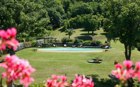 Torre di Vignale: Bloem, Fabriek, Plantkunde, Water, Boom, Natuur, Petal, Natuurlijk Landschap, Vegetation, Gras